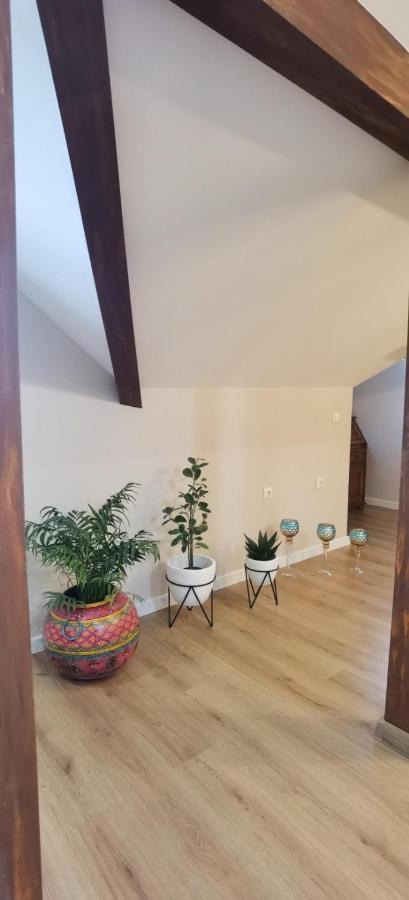 Mitra Luxury Apartments Szumen Zewnętrze zdjęcie